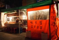 Kuliner Jalanan Korea: Makanan Enak di Pinggir Jalan